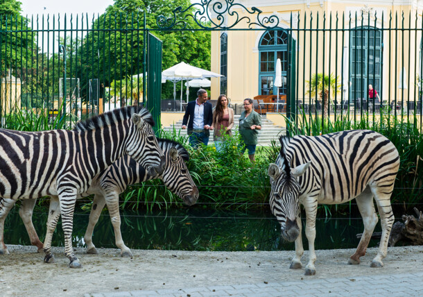     Schönbrunn Zoo - Private guided tour 